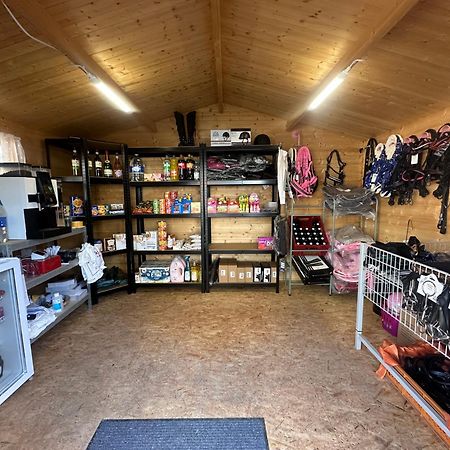 Fewo Im Reit- Und Ponyparadies Roos Halle  エクステリア 写真
