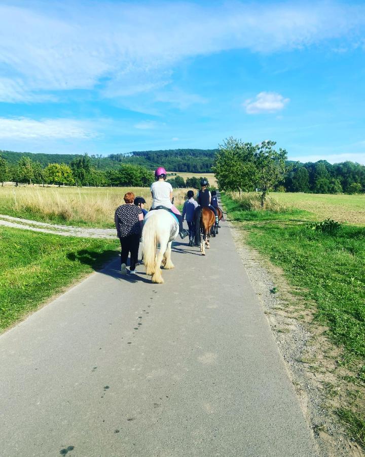 Fewo Im Reit- Und Ponyparadies Roos Halle  エクステリア 写真