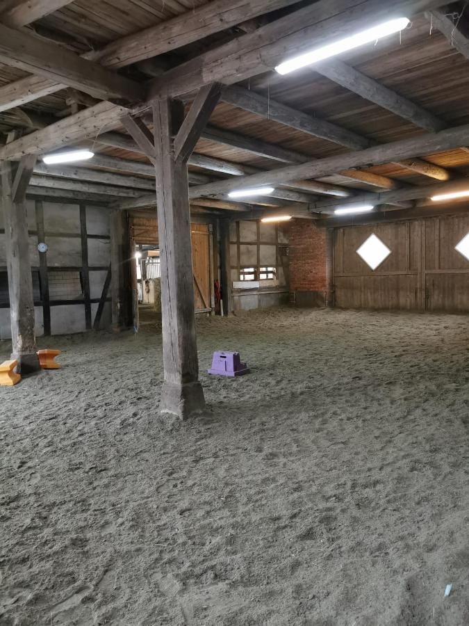Fewo Im Reit- Und Ponyparadies Roos Halle  エクステリア 写真